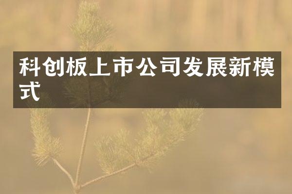 科创板上市公司发展新模式