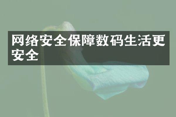 网络安全保障数码生活更安全