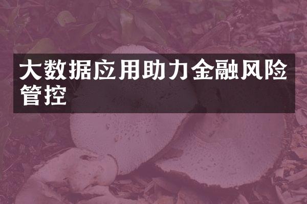 大数据应用助力金融风险管控