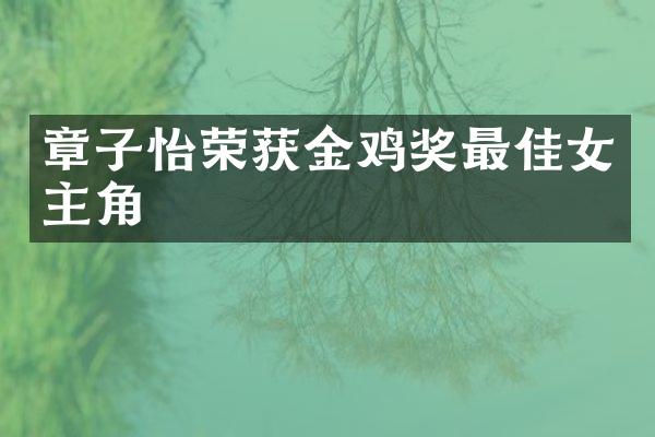 章子怡荣获金鸡奖最佳女主角