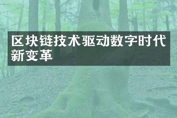 区块链技术驱动数字时代新变革