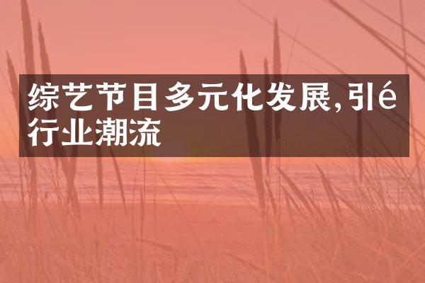 综艺节目多元化发展,引领行业潮流