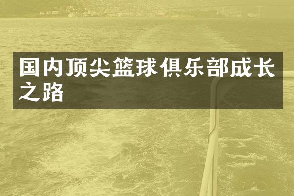 国内顶尖篮球俱乐部成长之路