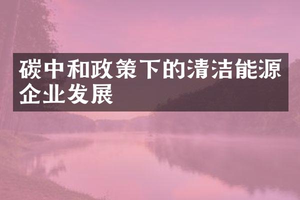 碳中和政策下的清洁能源企业发展