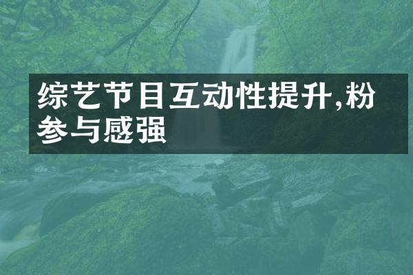 综艺节目互动性提升,粉丝参与感强