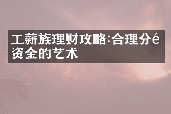 工薪族理财攻略:合理分配资金的艺术