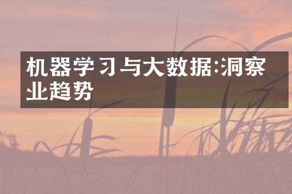 机器学习与大数据:洞察商业趋势