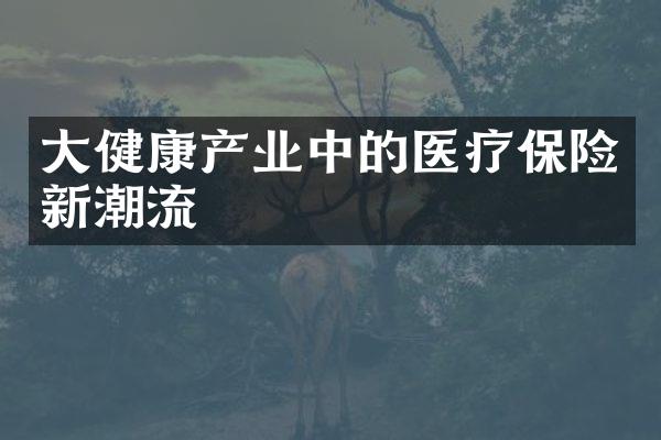 大健康产业中的医疗保险新潮流