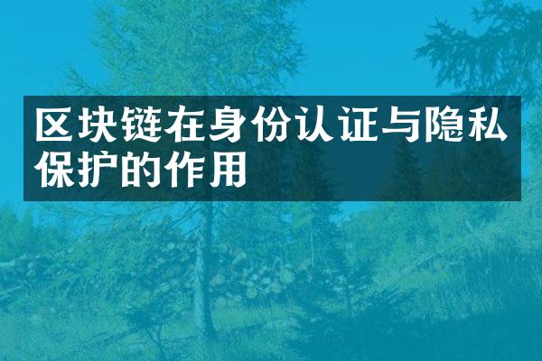 区块链在身份认证与隐私保护的作用