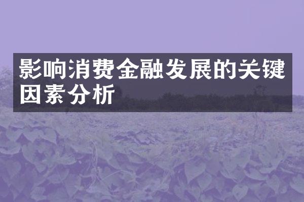 影响消费金融发展的关键因素分析