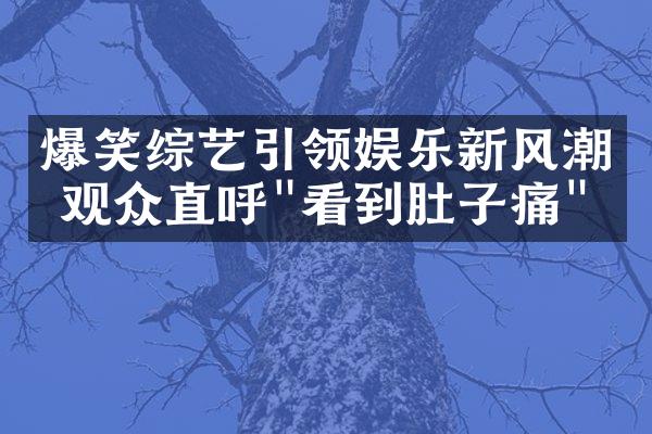 爆笑综艺引领娱乐新风潮 观众直呼"看到肚子痛"