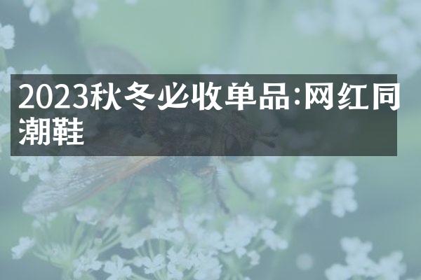 2023秋冬必收单品:网红同款潮鞋