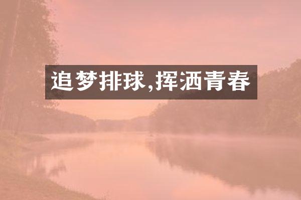 追梦排球,挥洒青春