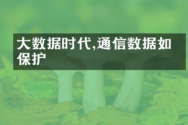 大数据时代,通信数据如何保护