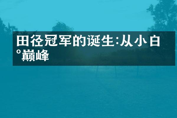 田径冠军的诞生:从小白到巅峰