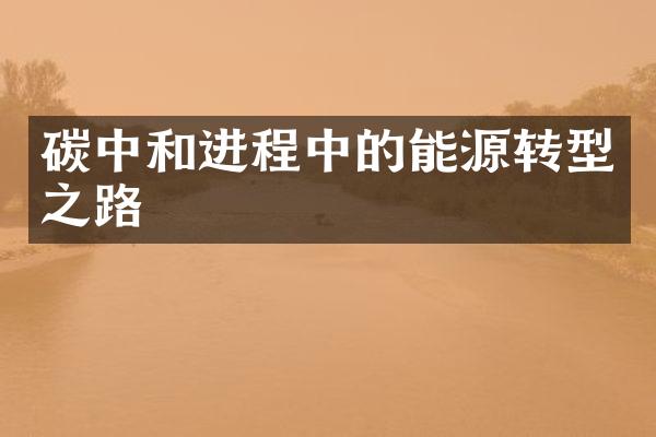 碳中和进程中的能源转型之路