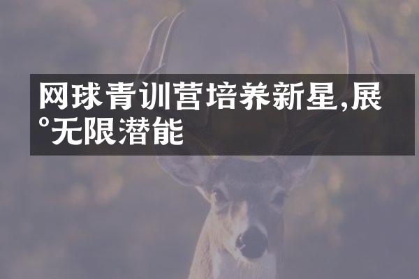 网球青训营培养新星,展现无限潜能