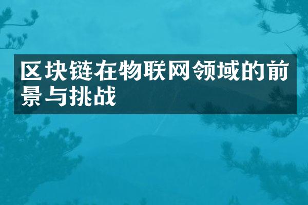 区块链在物联网领域的前景与挑战