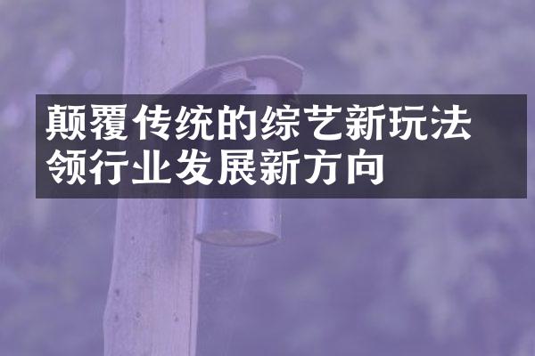 颠覆传统的综艺新玩法 引领行业发展新方向