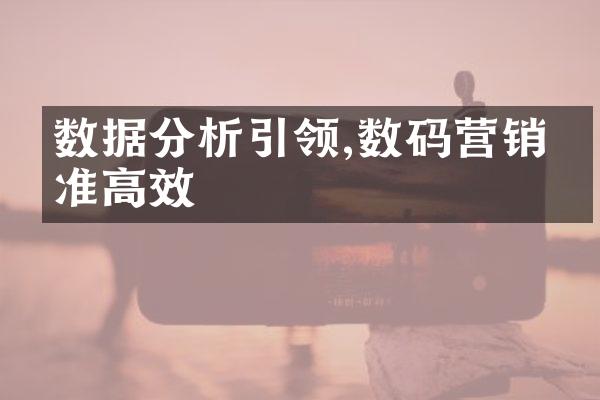 数据分析引领,数码营销精准高效