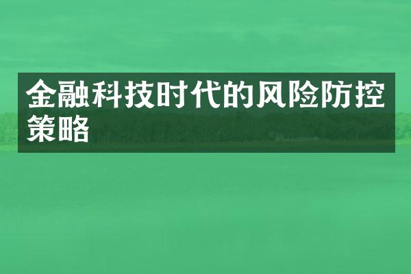 金融科技时代的风险防控策略