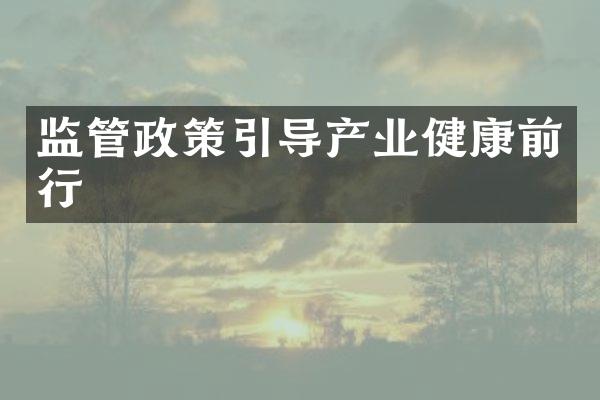 监管政策引导产业健康前行