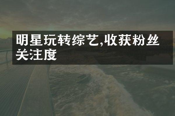 明星玩转综艺,收获粉丝与关注度