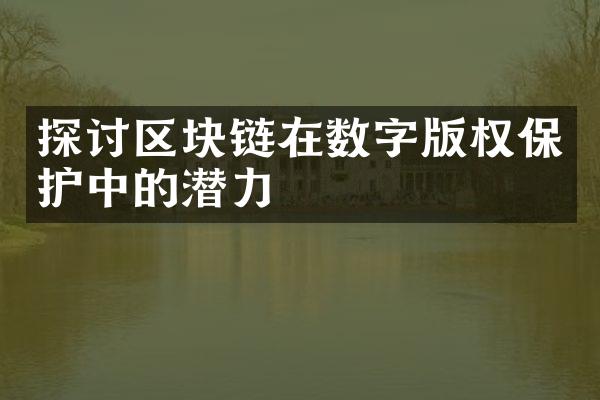 探讨区块链在数字版权保护中的潜力