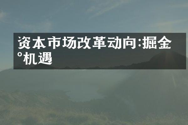 资本市场改革动向:掘金新机遇