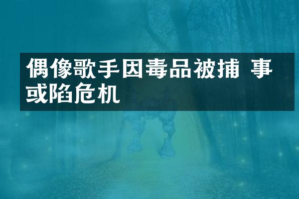 偶像歌手因被捕 事业或陷危机