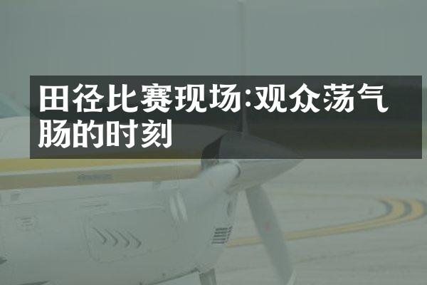 田径比赛现场:观众荡气回肠的时刻