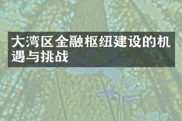 大湾区金融枢纽建设的机遇与挑战