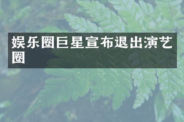 娱乐圈巨星宣布退出演艺圈