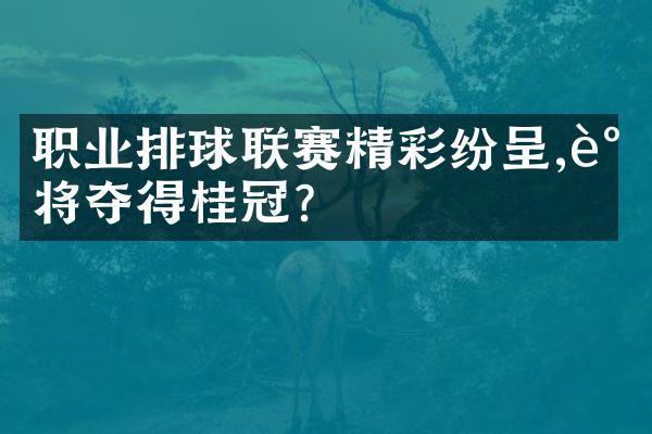 职业排球联赛精彩纷呈,谁将夺得桂冠?