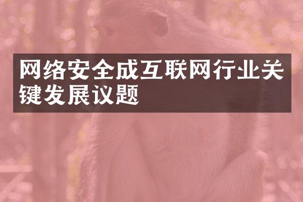 网络安全成互联网行业关键发展议题