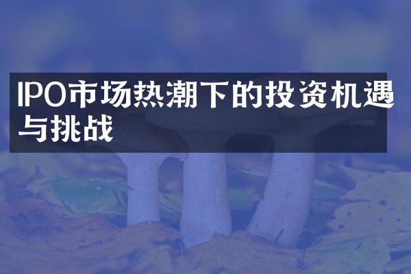 IPO市场热潮下的投资机遇与挑战