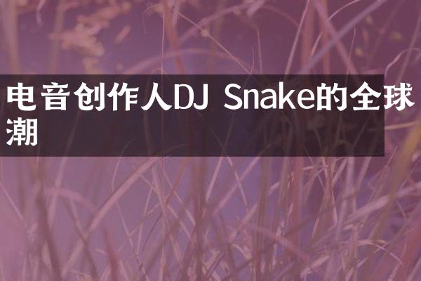 电音创作人DJ Snake的全球狂潮