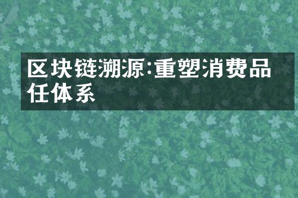 区块链溯源:重塑消费品信任体系