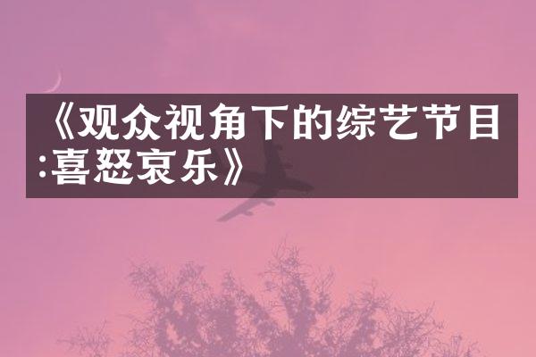 《观众视角下的综艺节目:喜怒哀乐》