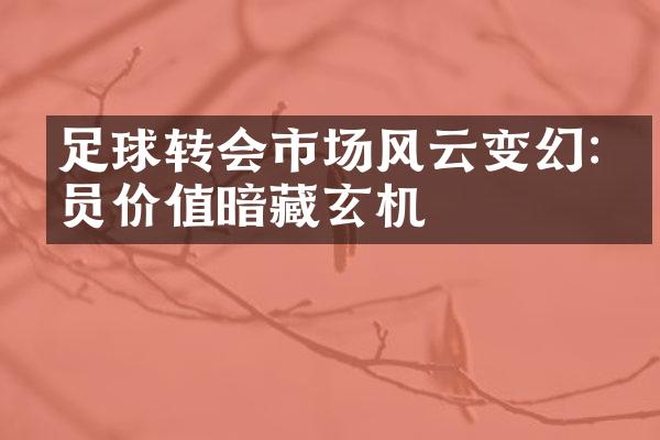 足球转会市场风云变幻:球员价值暗藏玄机