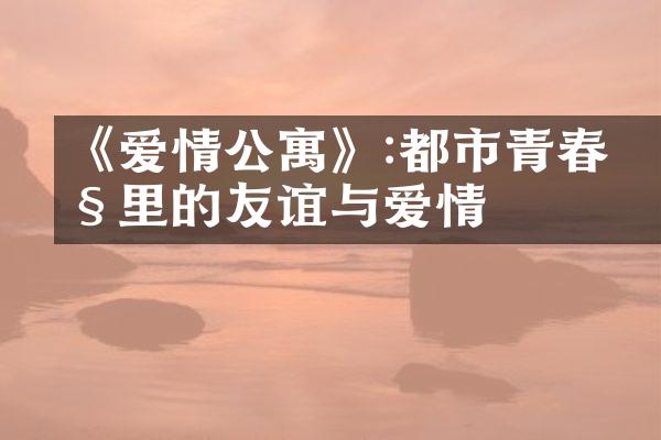 《爱情公寓》:都市青春剧里的友谊与爱情