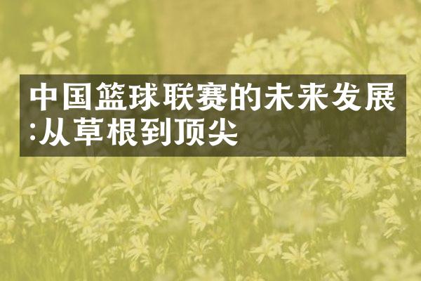 中国篮球联赛的未来发展:从草根到顶尖