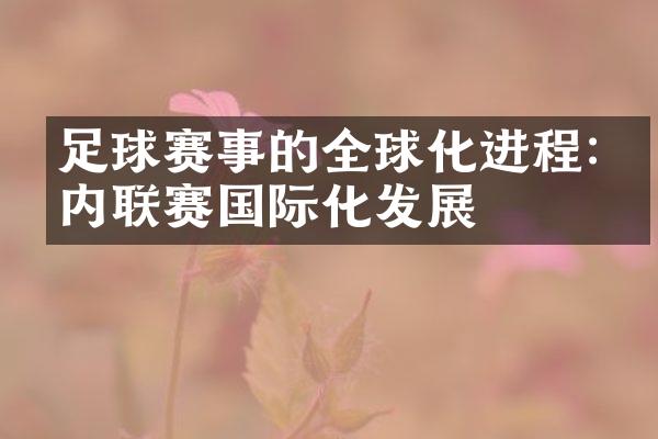 足球赛事的全球化进程:国内联赛国际化发展