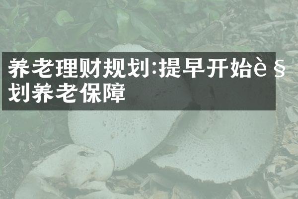 养老理财规划:提早开始规划养老保障