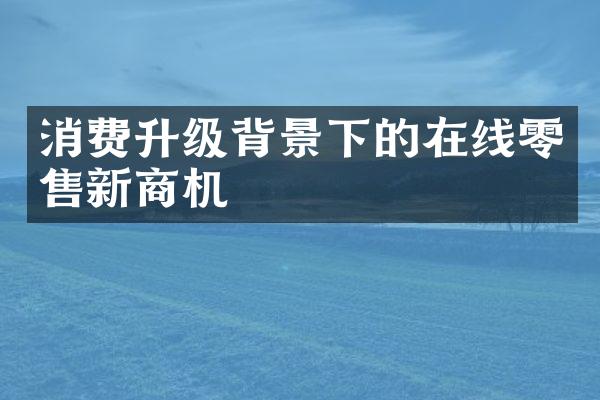 消费升级背景下的在线零售新商机