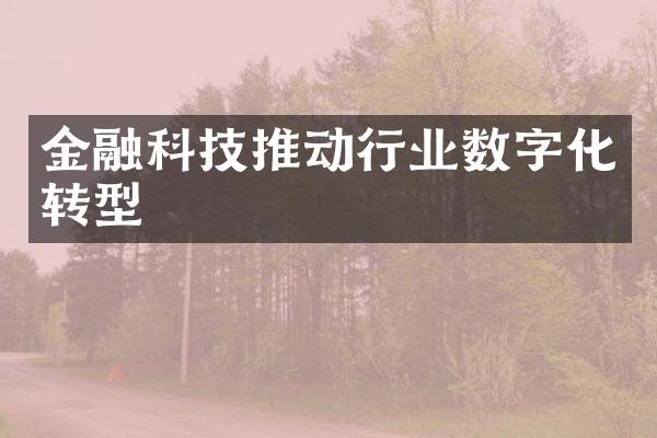 金融科技推动行业数字化转型