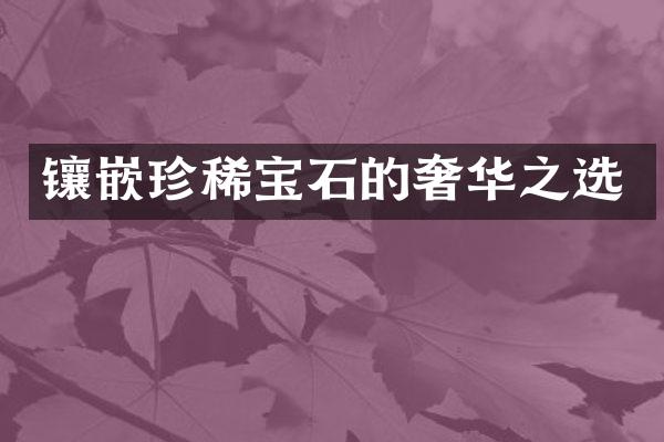 镶嵌珍稀宝石的奢华之选