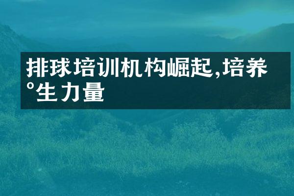 排球培训机构崛起,培养新生力量