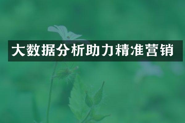 数据分析助力精准营销