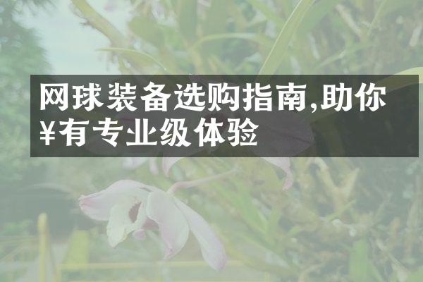 网球装备选购指南,助你拥有专业级体验